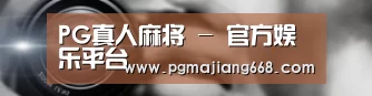 公司动态