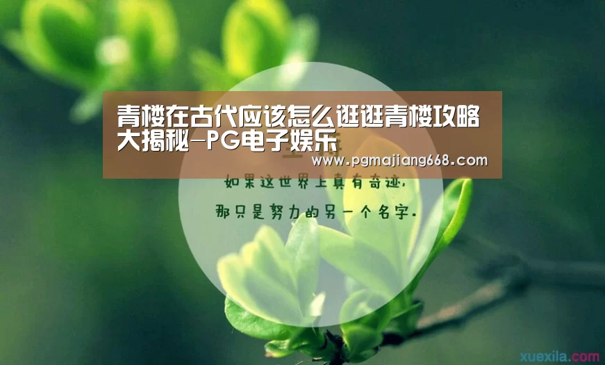 青楼在古代应该怎么逛逛青楼攻略大揭秘-PG电子娱乐(图4) PGAPP下载
