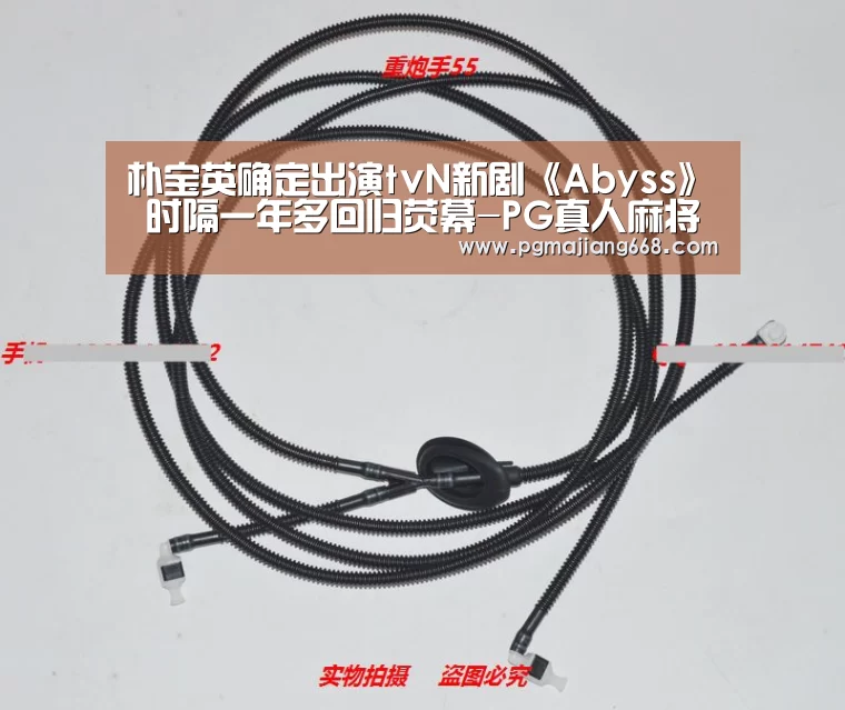 PG电子官方网站