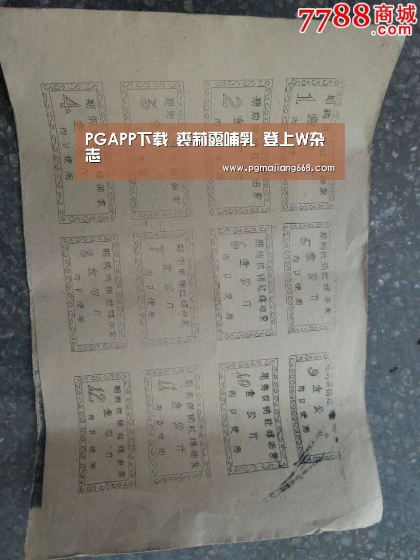 PG电子娱乐