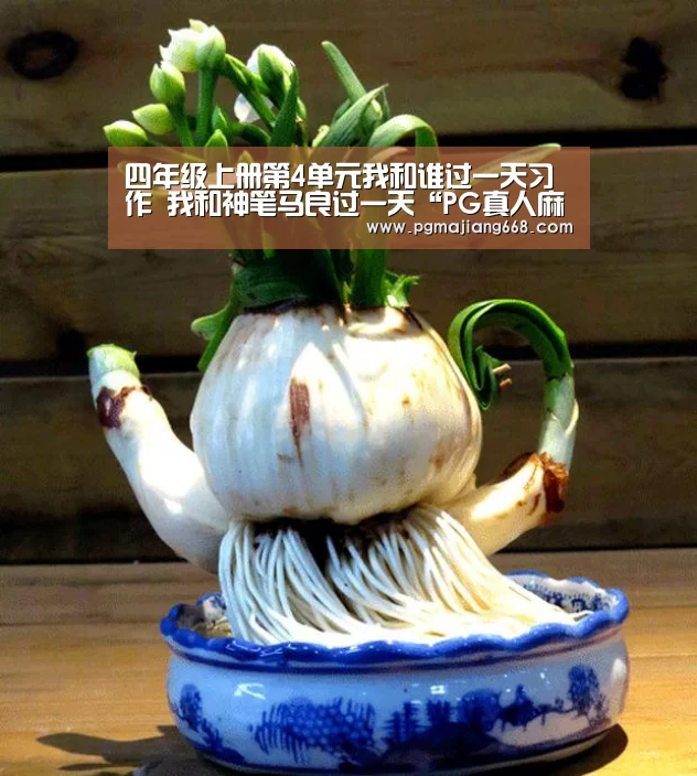 PG真人麻将