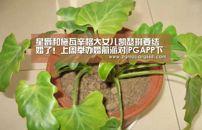 PGAPP下载
