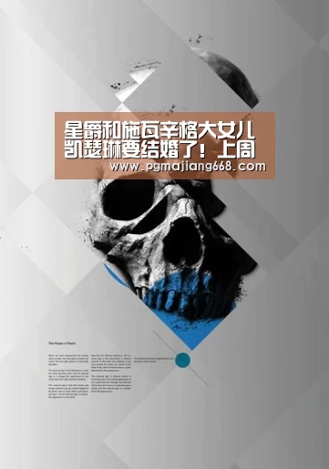 PGAPP下载