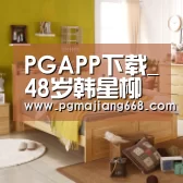PGAPP下载
