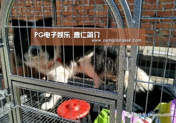 PG电子娱乐_曹仁简介(图1) PG电子官方网站