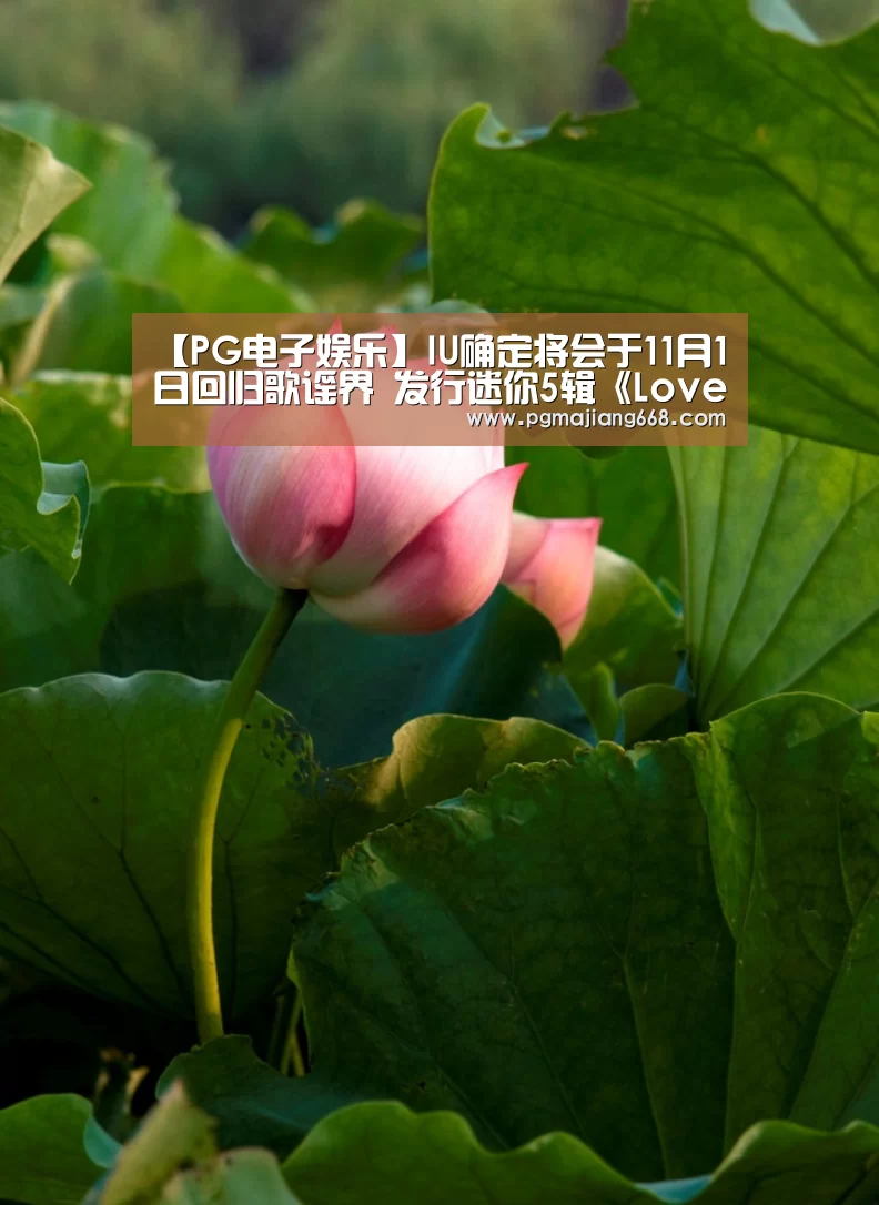 PGAPP下载
