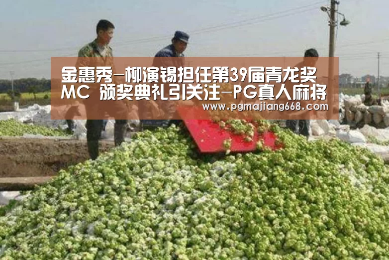 金惠秀-柳演锡担任第39届青龙奖MC 颁奖典礼引关注-PG真人麻将(图1) PG真人麻将