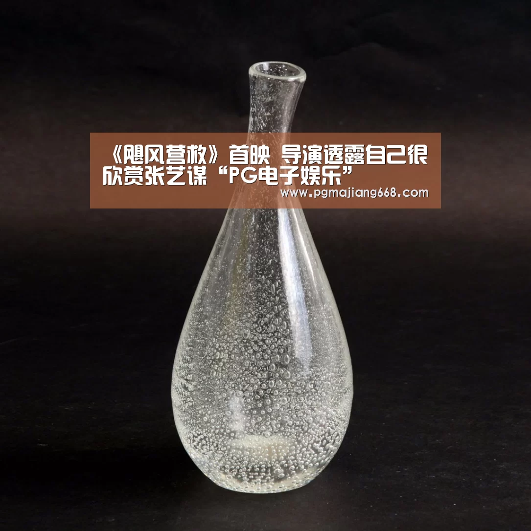 《飓风营救》首映 导演透露自己很欣赏张艺谋“PG电子娱乐”(图1) PG真人麻将
