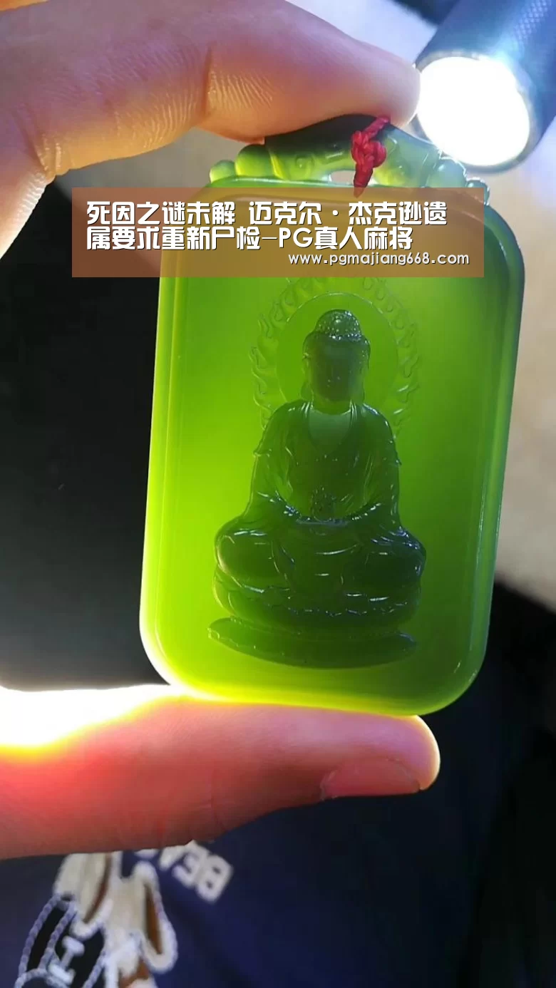 死因之谜未解 迈克尔·杰克逊遗属要求重新尸检-PG真人麻将(图2) PGAPP下载